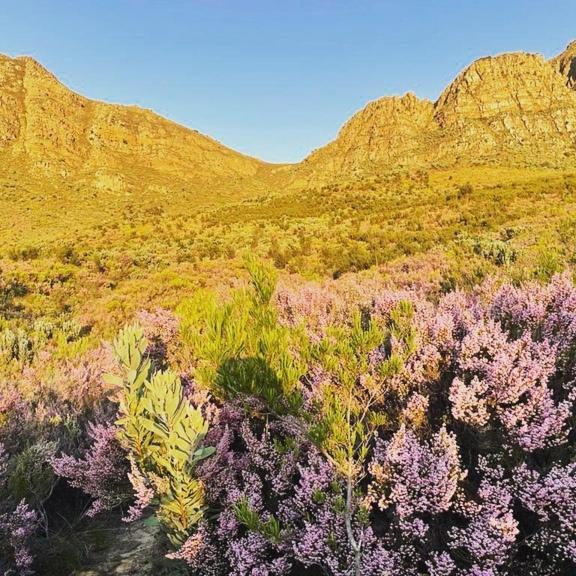 Oude Compagnies Post Villa Tulbagh Eksteriør billede